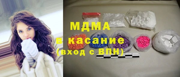индика Алексин