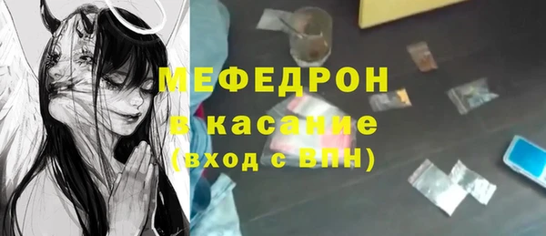 индика Алексин