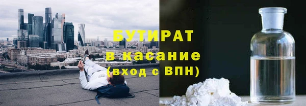 индика Алексин