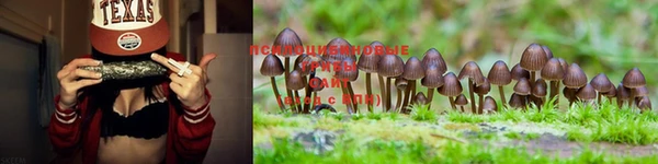 MESCALINE Алзамай