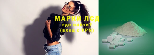 индика Алексин