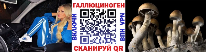 где можно купить наркотик  Чухлома  Галлюциногенные грибы мицелий 