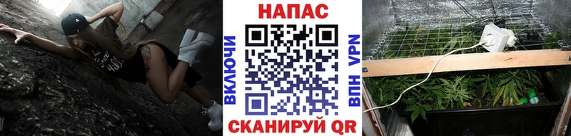 Шишки марихуана гибрид  Чухлома 